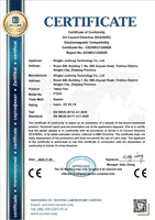 Neebol Tattoo CE Certificate for safety compliance