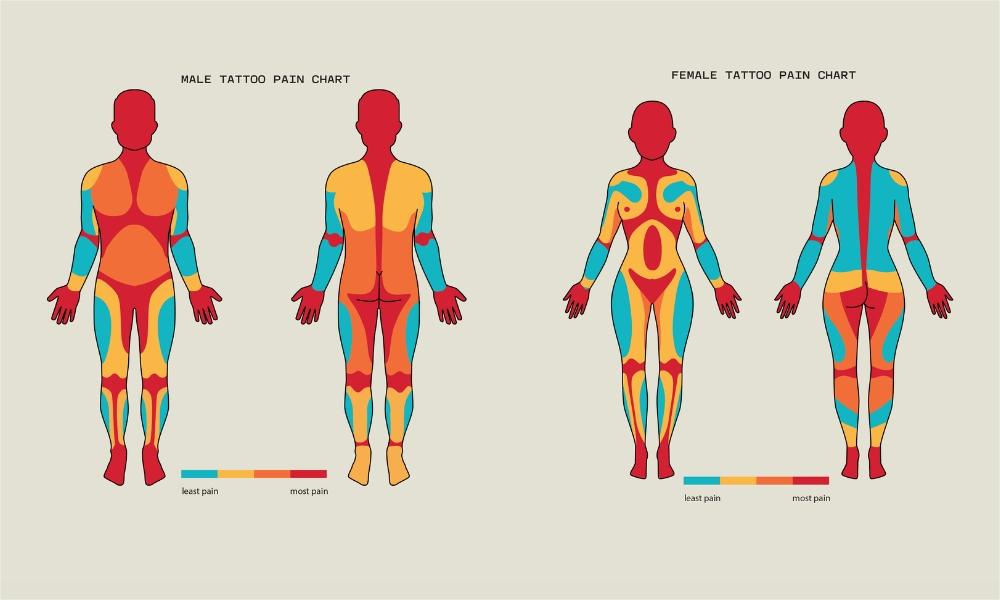 Tattoo Pain Chart Guide: Where Tattoos Hurt Most and Least (Male & Female)